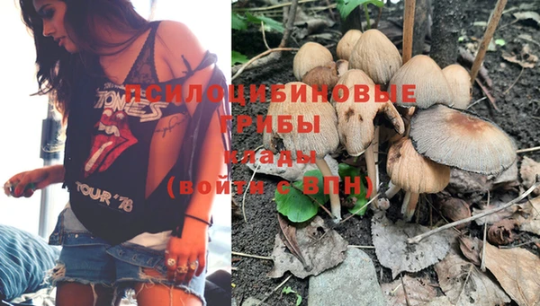 стафф Баксан