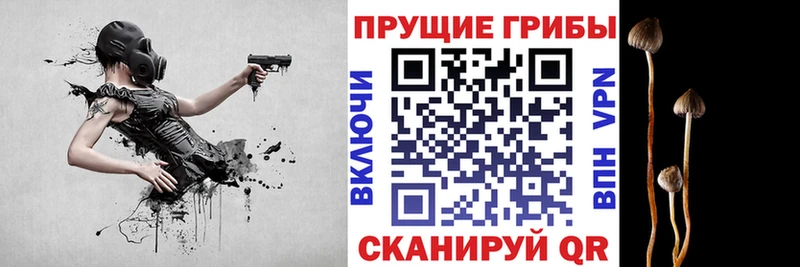 Галлюциногенные грибы мухоморы  даркнет сайт  Кувандык 
